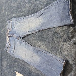 Loft Curvy Boot jeans
